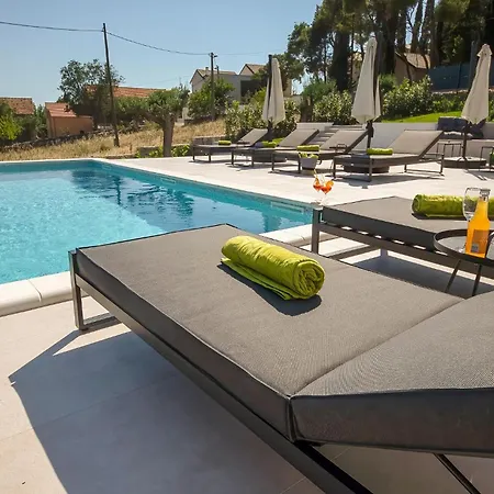 Pet Friendly In Šibenik