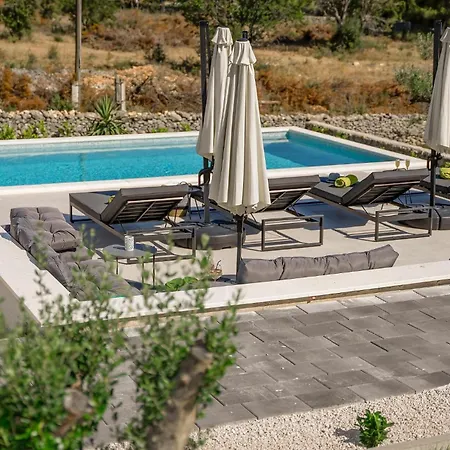 Hébergement de vacances Pet Friendly In *